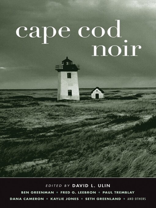 Title details for Cape Cod Noir (Akashic Noir) by David L. Ulin - Available